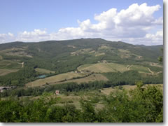 Chianti hills
