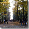Teh Giardini Pubblici of Venice