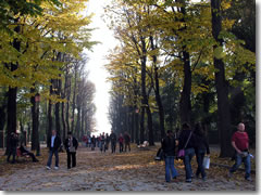 The Giardini Pubblici in Venice.