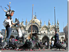 St. Mark's Cathedral in Venice (they're agressively trying to do somethgin about all the pigeons).